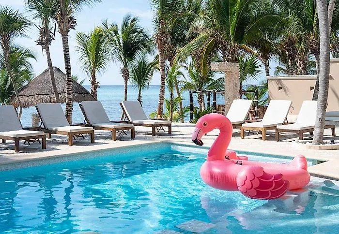 Beachfront Soliman Bay 42 Villa *